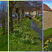 Daffodils by Brough Beck - Helmsley