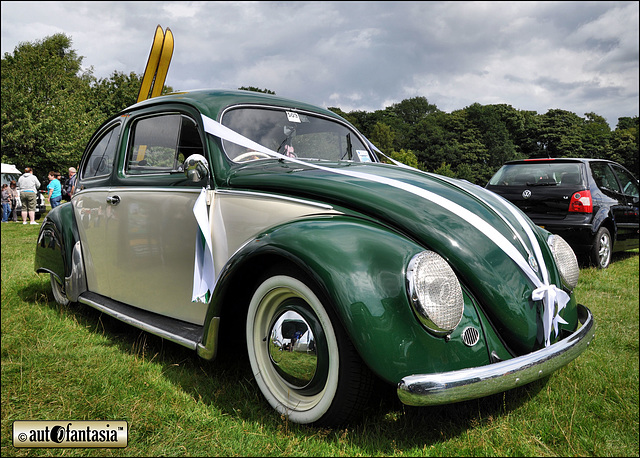 VW Beetle - Details Unknown