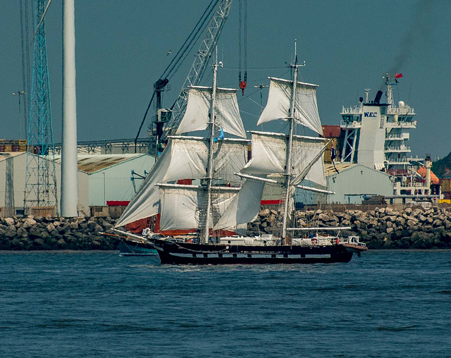 Tall ships leaving Liverpool12