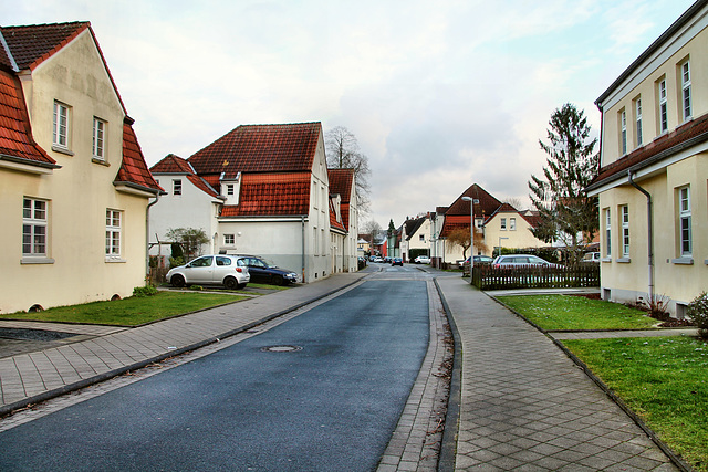 Burgsdorffstraße (Siedlung Fürst Leopold, Hervest-Dorsten) / 4.02.2018