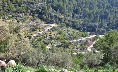 el camí per la vall de Sa Coma  (© Buelipix)