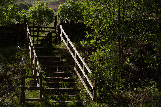 A stairway to the countryside