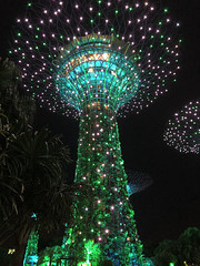 Singap0re Supertree