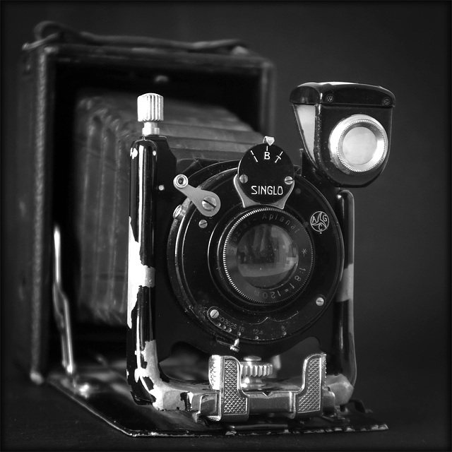 folding plate camera