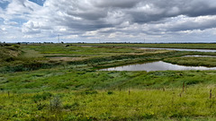 HFF from Moulton Marsh ~ Lincolnshire