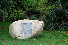 IMG 8683-001-Space Mirrors Mind