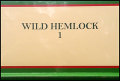 Wild Hemlock narrowboat