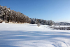 Winter in Oberschwaben