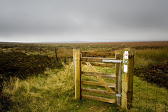 Gate to the Middle of Nowhere