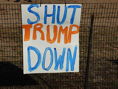 Shut Trump Down