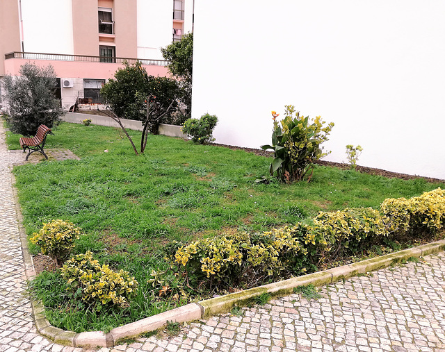 A small garden between Benfica's blocks - XIII