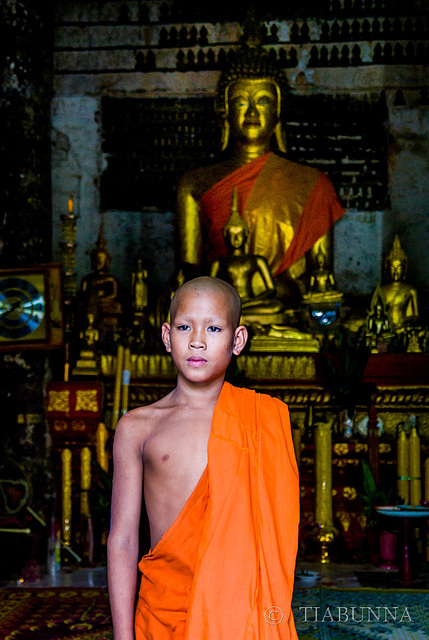 Novice monk