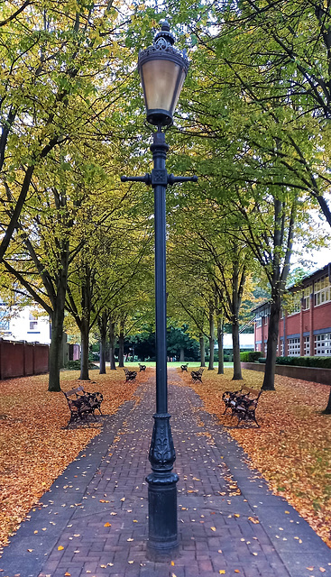 Autumn Benches