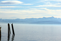 Blick vom Meerburger Yachthafen über den Bodensee in die Schweiz.