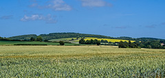 View Across the Fields