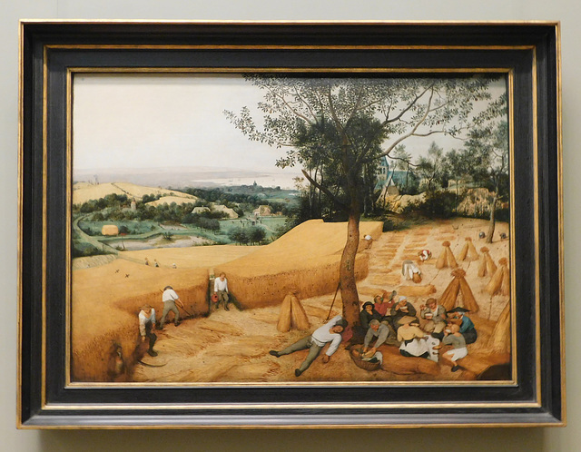 The Harvesters by Bruegel in the Metropolitan Museum of Art, February 2019