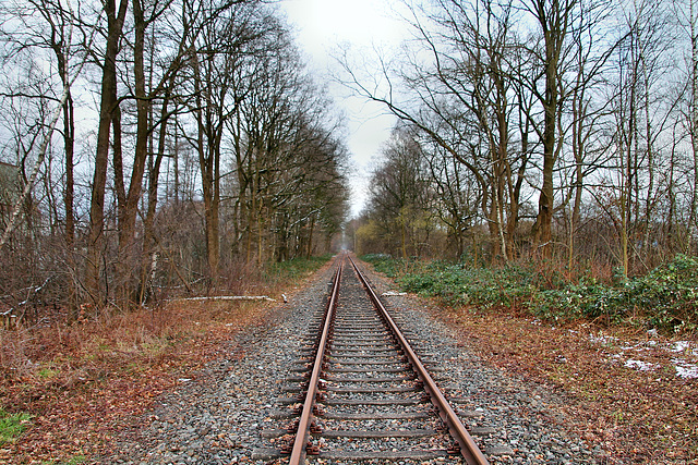 Bahnstrecke Haltern–Venlo, Anschlussgleis von RWE (Hervest-Dorsten) / 4.02.2018