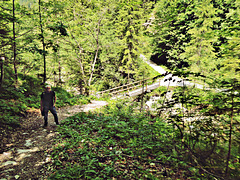 Aufstieg zur Kaindl-Hütte, im Kaiser, Tirol, Austria