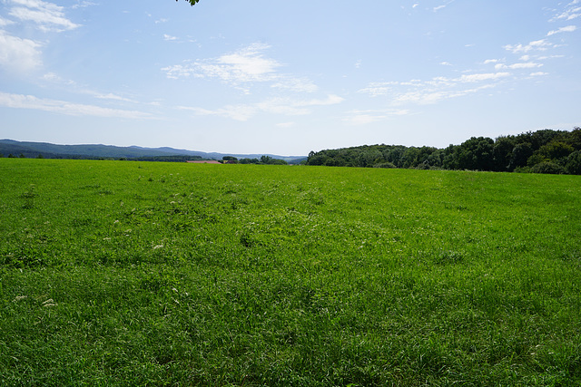 Blick über die Felder bei Düna