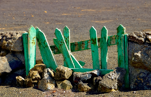 A Fence for Friday