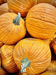 Pumpkins at Costco