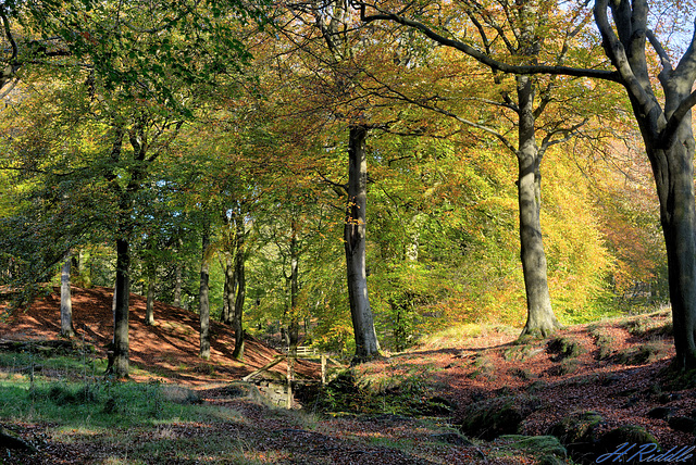 Tandle Hills in Autumn