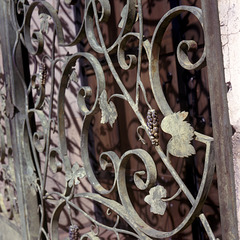 Wrought Grape Fence