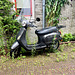Moped taken over by the jungle
