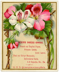 White Dress Goods, G. V. S. Quackenbush & Co., Troy, N.Y.