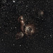 NGC1968 & NGC 1955