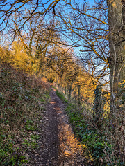 Pathway up to the Peak forest canal