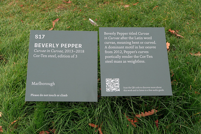 IMG 8719-001-Beverly Pepper