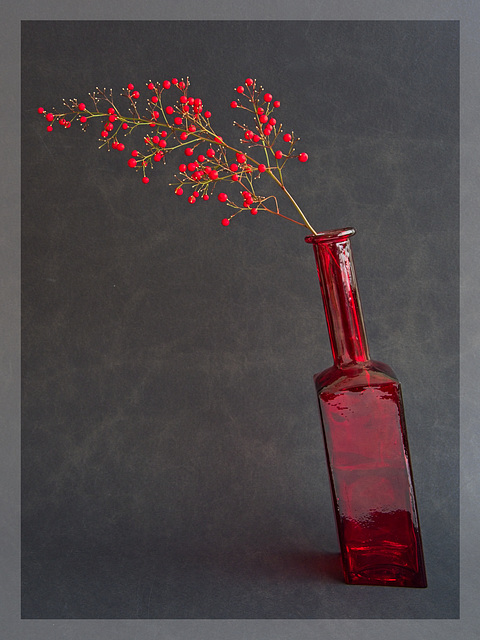 Red Bottle and Red Berries