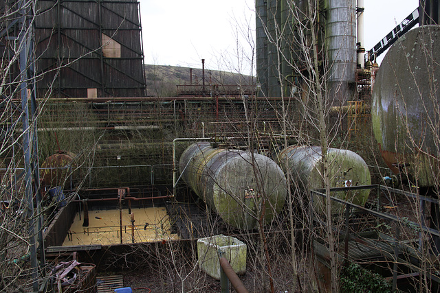 Overgrown Overgrown