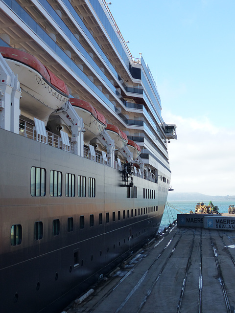 Oosterdam at Port Chalmers - 1 March 2015