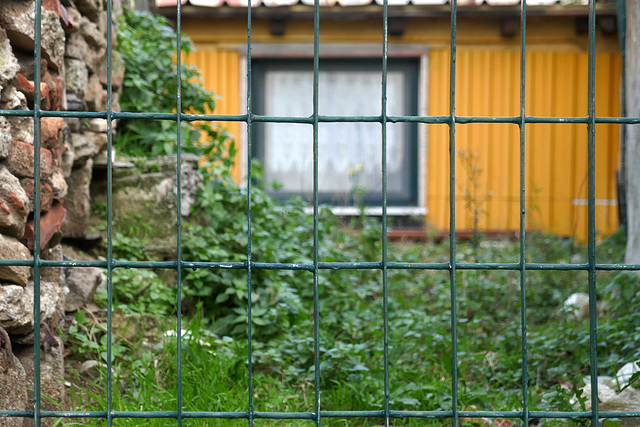 fenced abandon