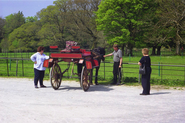 Jaunty cart for Muckross House, Killarney, Ireland