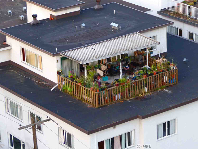 Dachwohnung mit Zaun - HFF