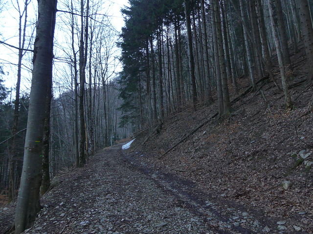 20190224 Raquettes plateau d'Ambel (3) al 20190224 Raquettes plateau d'Ambel (3) al