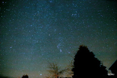 Starry, starry night - Orion's Belt