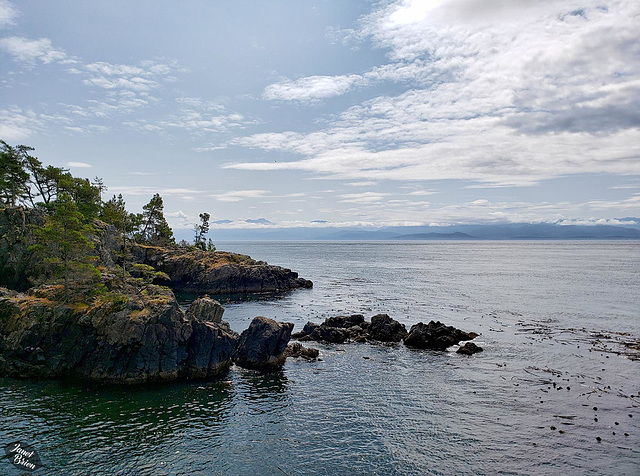 East Sooke Regional Park, Part 2: Lovely Coast and Forest Treasures! (+9 insets)