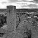 Tuscany 2015 San Gimignano 9 X100t mono