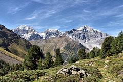 Blick vom Rosimtal auf Königsspitze-Monte Zebru - Ortler