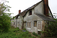 Derelict Cottage near Stanstead Airport, Essex