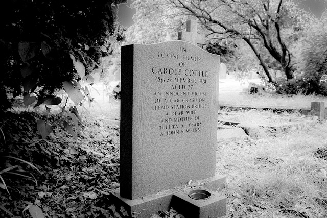 Seend, Wiltshire: Carole Cottle, R.I.P