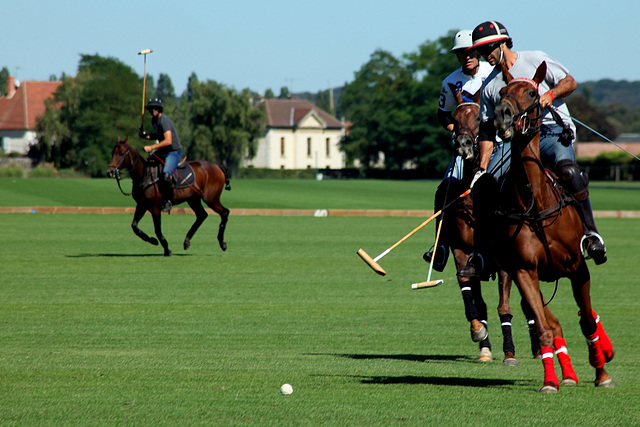 Polo à Chantilly