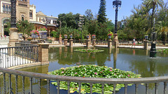 Sevilla Plaza de las Americas