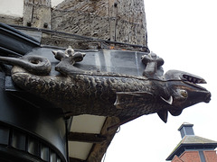 Shrewsbury dragon