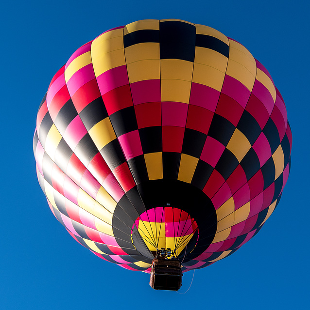 Albuquerque balloon fiesta6