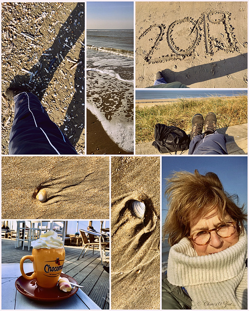 Zandvoort Beach 2019...